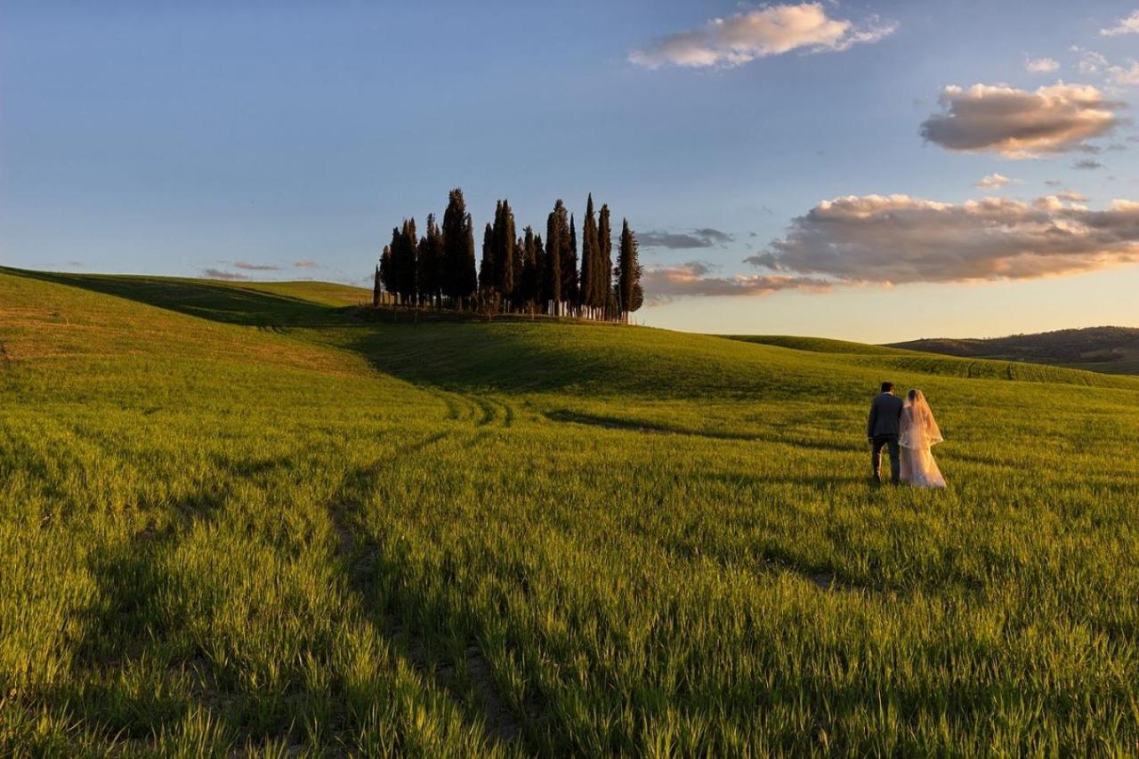 Апартаменты L' Antica Oliviera D'Orcia Сан-Куйрико-д'Орча Экстерьер фото